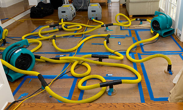 Professional Basement Flood Cleanup technician working in Twentynine Palms, CA